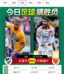 瑞超：北雪平vs代格福什比分預測、勝負預測深度解析球隊實力